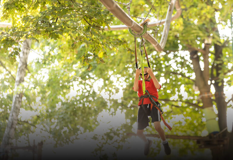 Zipline